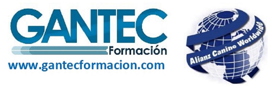 Logo de GANTEC FORMACIÓN